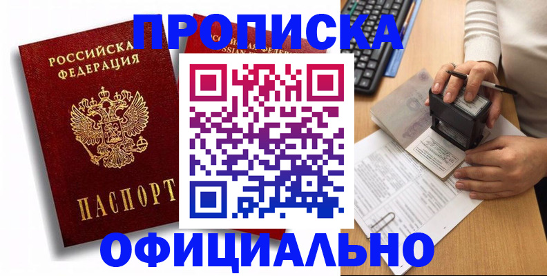 прописка в квартире в Камышлове